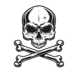 Skeleton