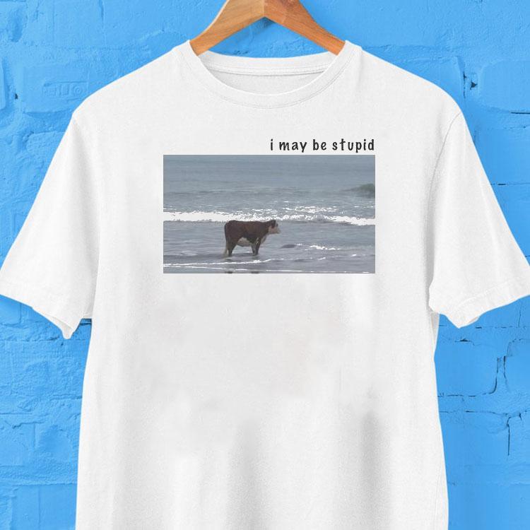 I May Be Stupid Cow Shirt 2 I May Be Stupid Cow Tshirt
