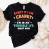 Sorry I’m Cranky I’m Going Through My Terrible 70’s Right Now Vintage Shirt