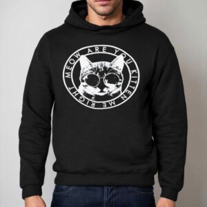 Cat Meow Are You Kitten Me Righ Hoodie