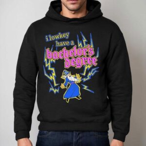 I Lowkey Have A Bachelor S Degree Wizard Hoodie