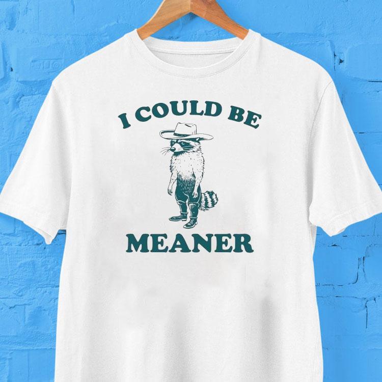  Raccoon I Could Be Meaner Tshirt