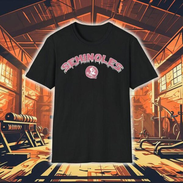 Logo And Name Of The Florida State University Fsu Seminoles Shirt