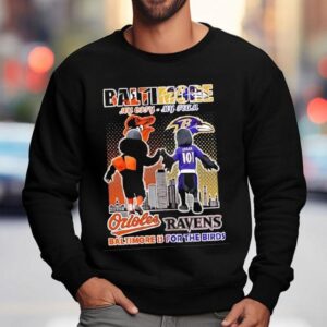 Baltimore Orioles And Baltimore Ravens Mascots My City My Team Baltimore Is For The Birds Sweatshirt